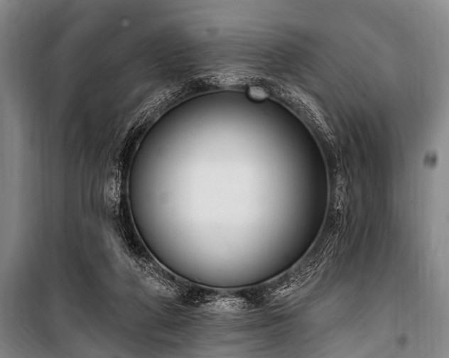 X0000101150210200806270951