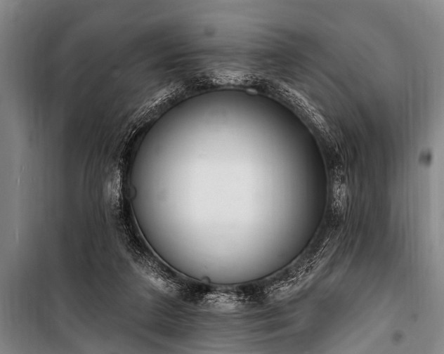 X0000101150211200806270951