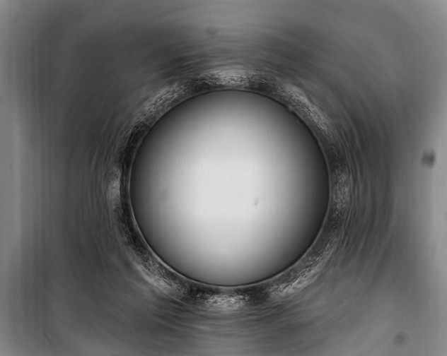 X0000101150213200806270951