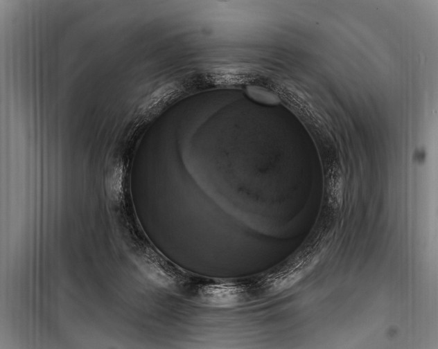 X0000101150219200806270951