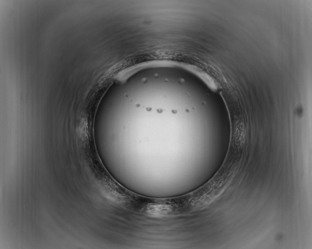 X0000101150220200806270951