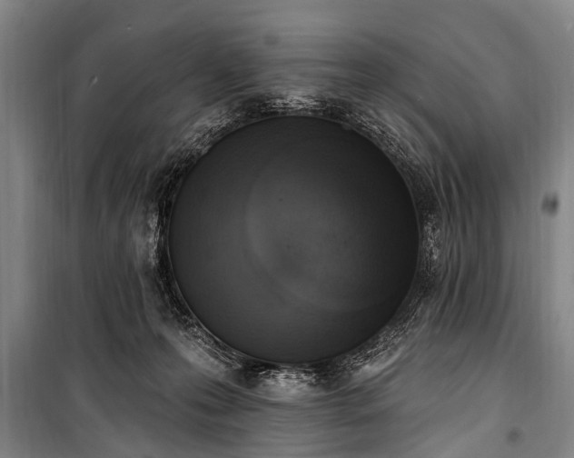 X0000101150223200806270951