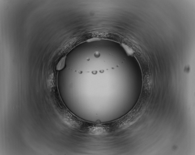 X0000101150224200806270951