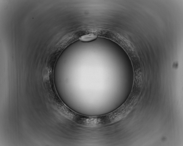 X0000101150225200806270950
