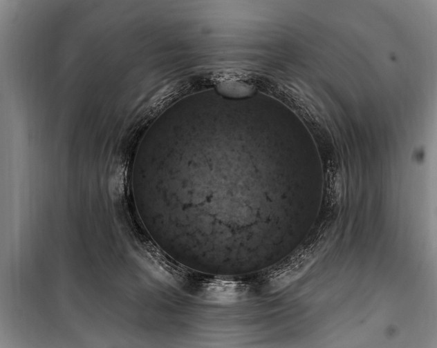X0000101150227200806270950