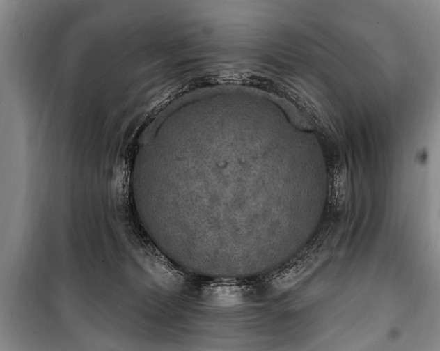 X0000101150228200806270950