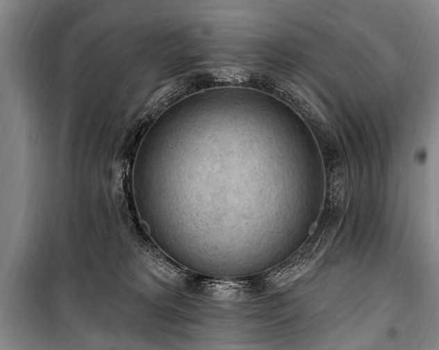 X0000101150229200806270950