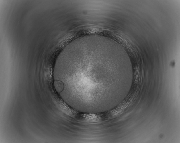 X0000101150230200806270950