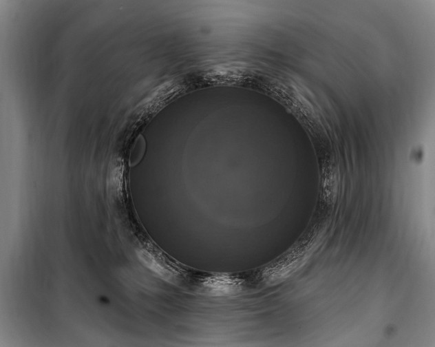 X0000101150231200806270950
