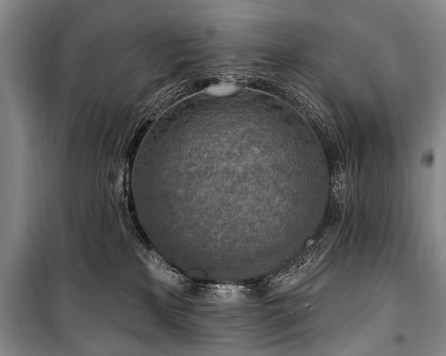 X0000101150233200806270950