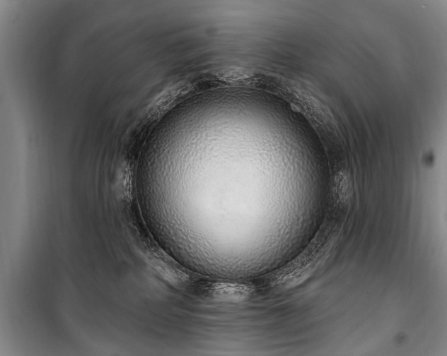 X0000101150234200806270950