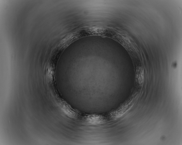 X0000101150235200806270950