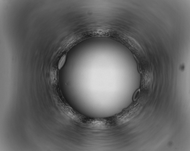 X0000101150236200806270950