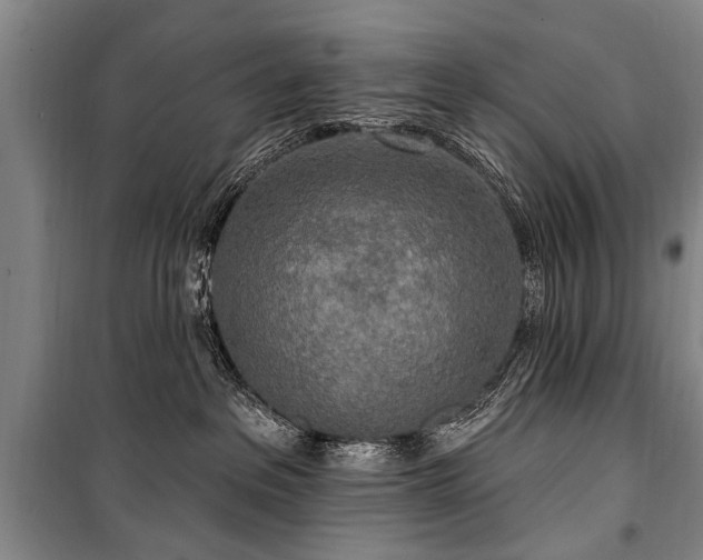 X0000101150237200806270950