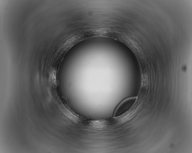X0000101150238200806270950