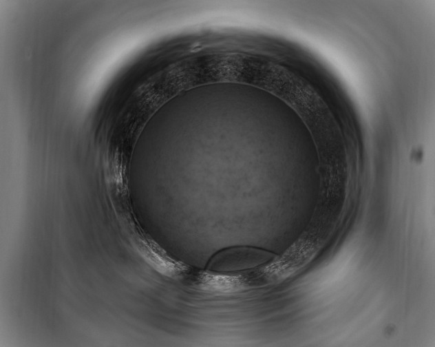 X0000101150239200806270950