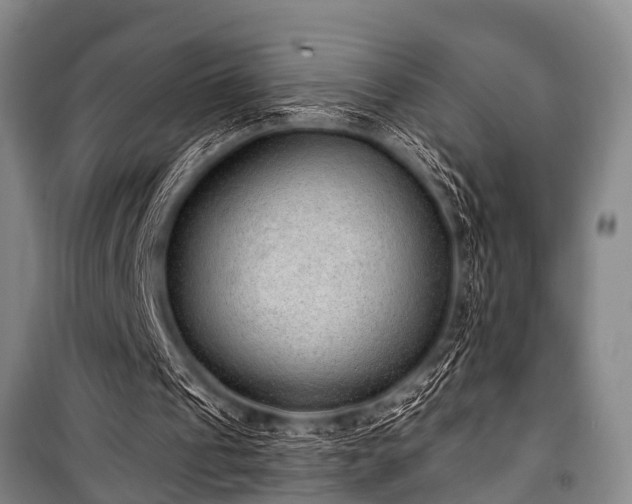 X0000101150241200806270950
