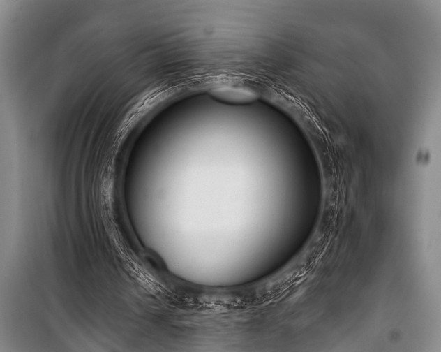 X0000101150242200806270950