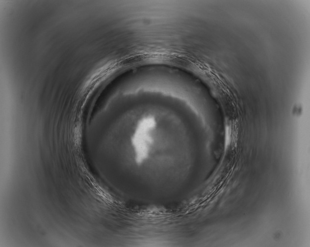 X0000101150243200806270950