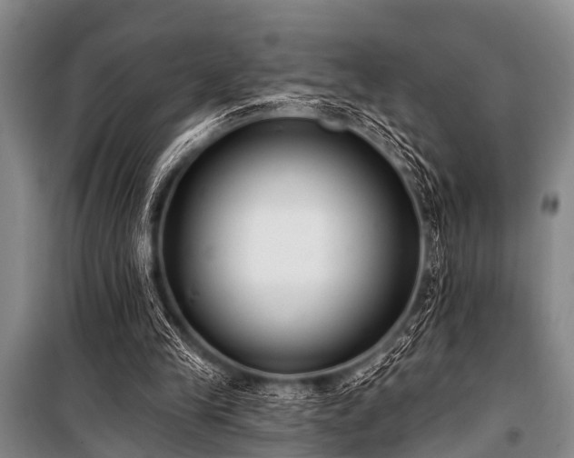 X0000101150245200806270950