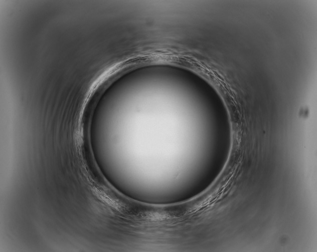 X0000101150246200806270950