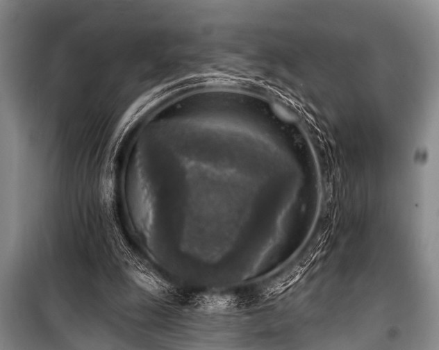 X0000101150247200806270950