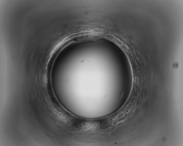 X0000101150248200806270950