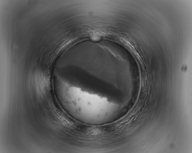 X0000101150249200806270950