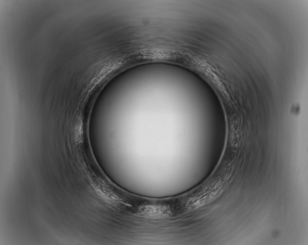 X0000101150251200806270950