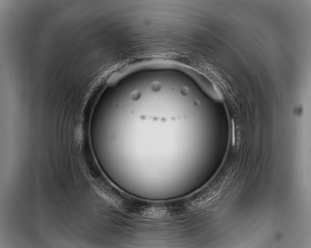 X0000101150252200806270950