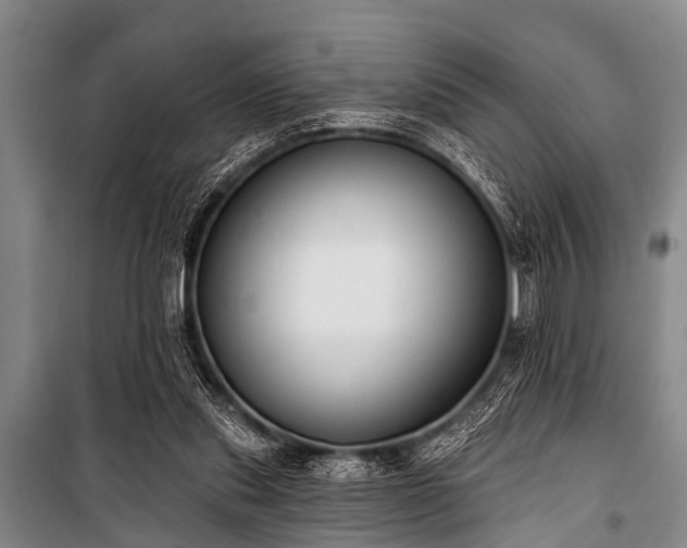 X0000101150253200806270950