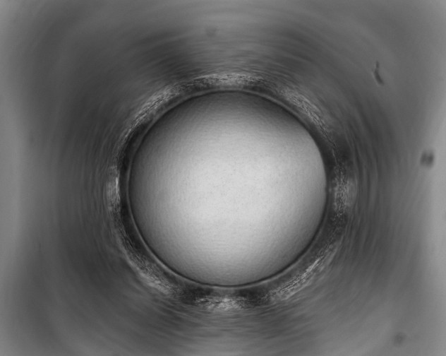 X0000101150254200806270950