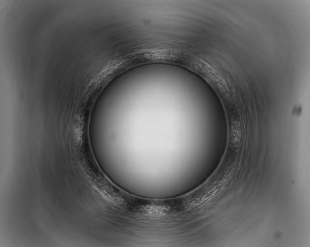 X0000101150255200806270950