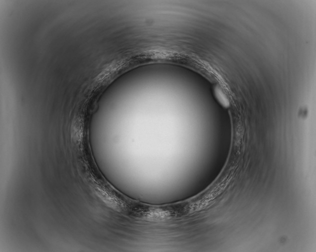 X0000101150257200806270950