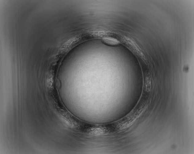 X0000101150259200806270950