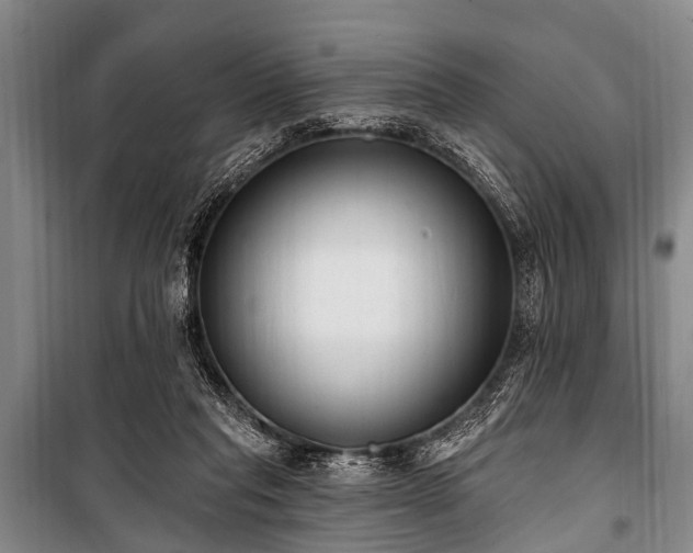 X0000101150261200806270950