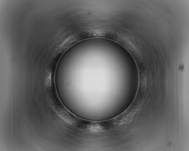 X0000101150262200806270950