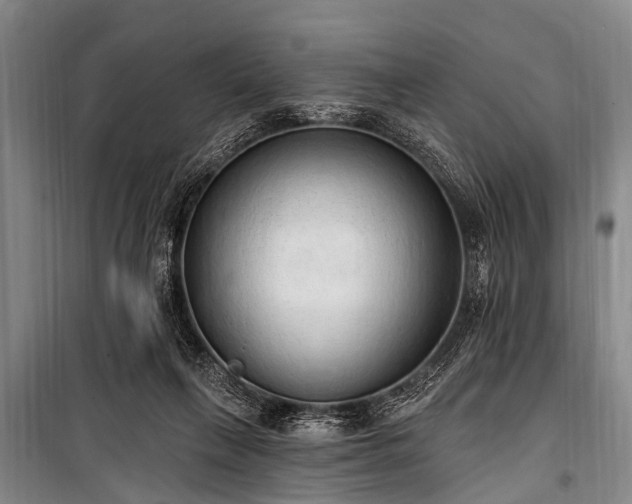 X0000101150263200806270950