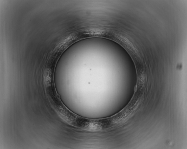 X0000101150264200806270950