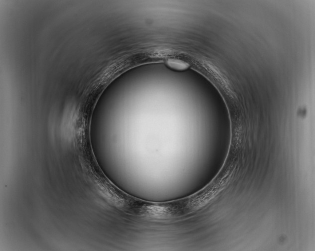 X0000101150265200806270950