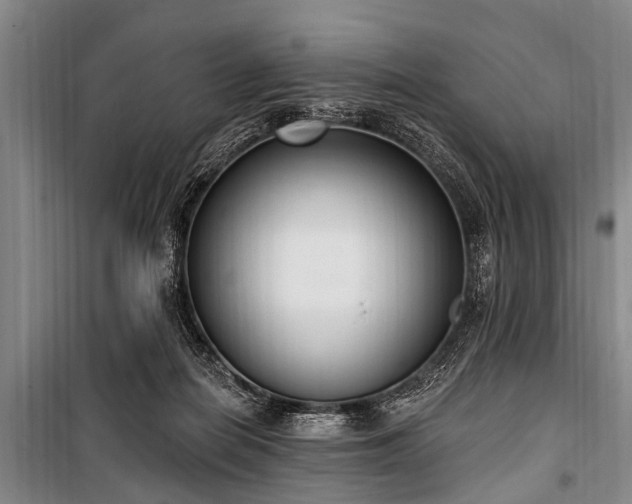 X0000101150266200806270950
