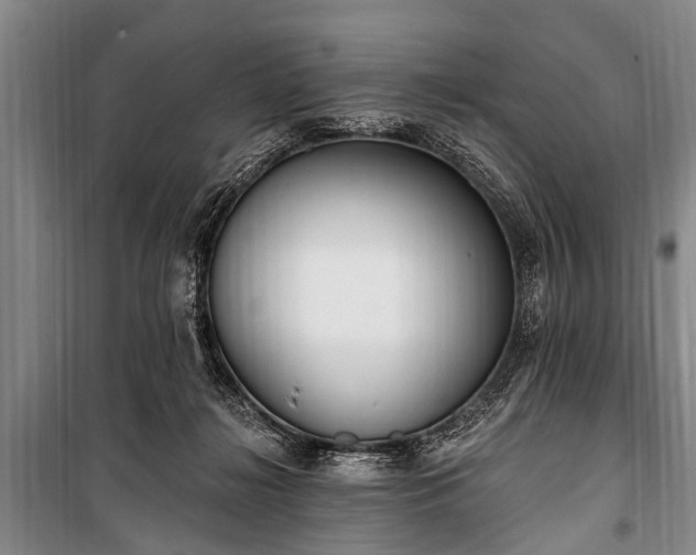 X0000101150268200806270950