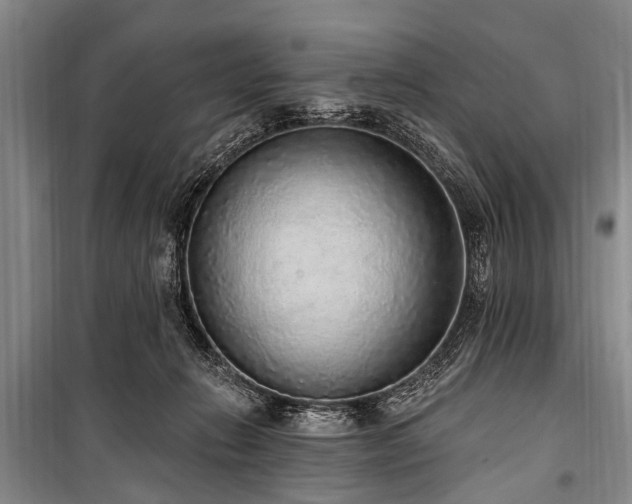 X0000101150270200806270950