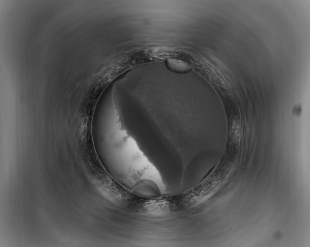X0000101150271200806270950