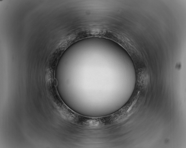 X0000101150272200806270950