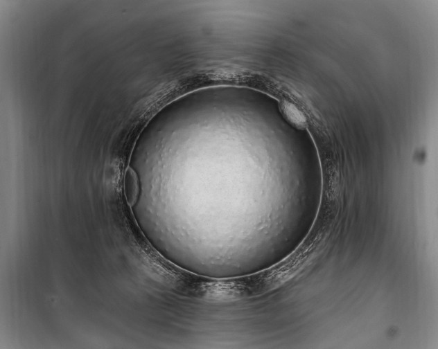 X0000101150273200806270950