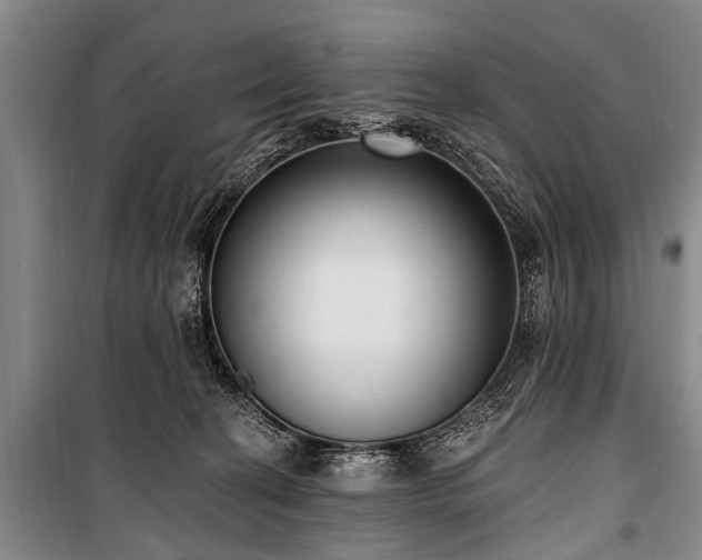 X0000101150274200806270950