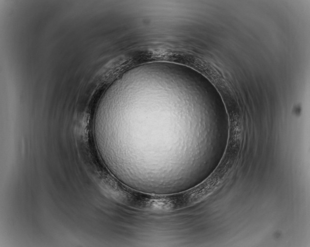 X0000101150275200806270950