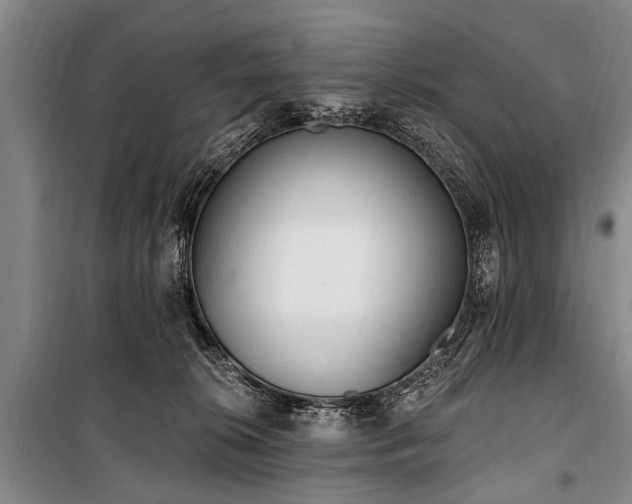 X0000101150276200806270950