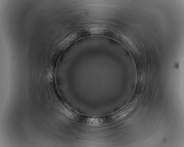 X0000101150277200806270950